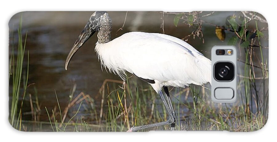 Wood Storks Galaxy S8 Case featuring the photograph Wood stork 4 by Mingming Jiang