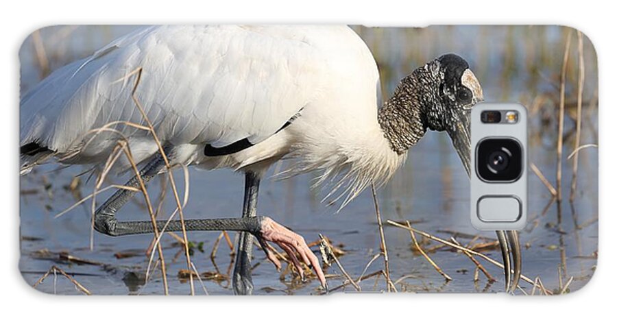 Wood Storks Galaxy Case featuring the photograph Wood stork by Mingming Jiang