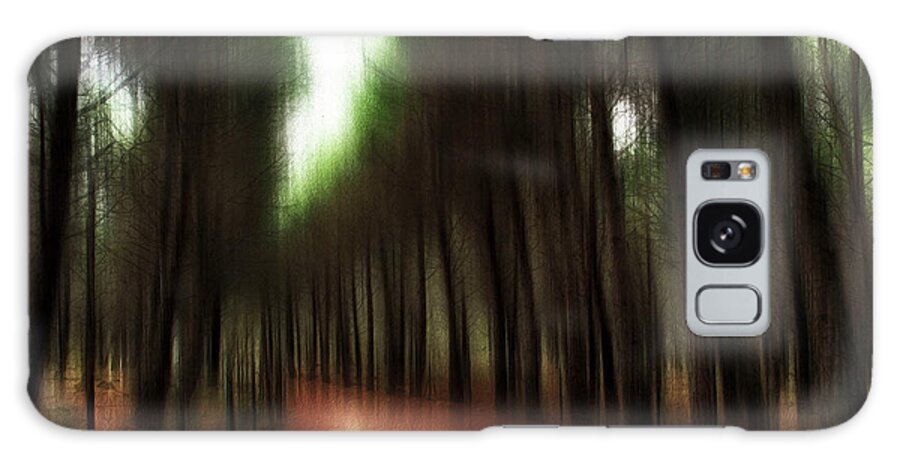 Woodland Galaxy Case featuring the photograph Autumn path 2 by Al Fio Bonina