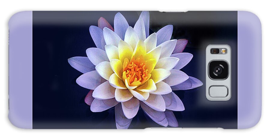 Lily Galaxy S8 Case featuring the photograph Water Lily Delight by Jessica Jenney