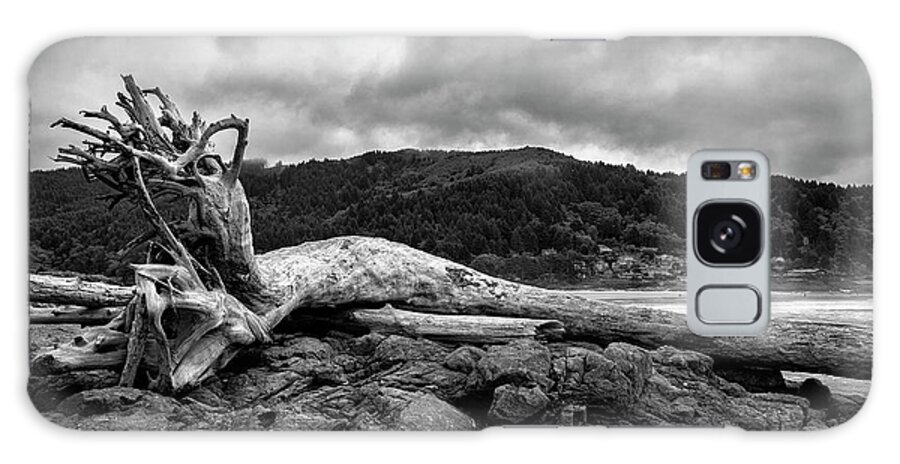 Tree Galaxy Case featuring the photograph Yachats Driftwood by Steven Clark