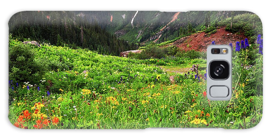 Wildflowers Galaxy Case featuring the photograph Yankee View by Randy Rogers