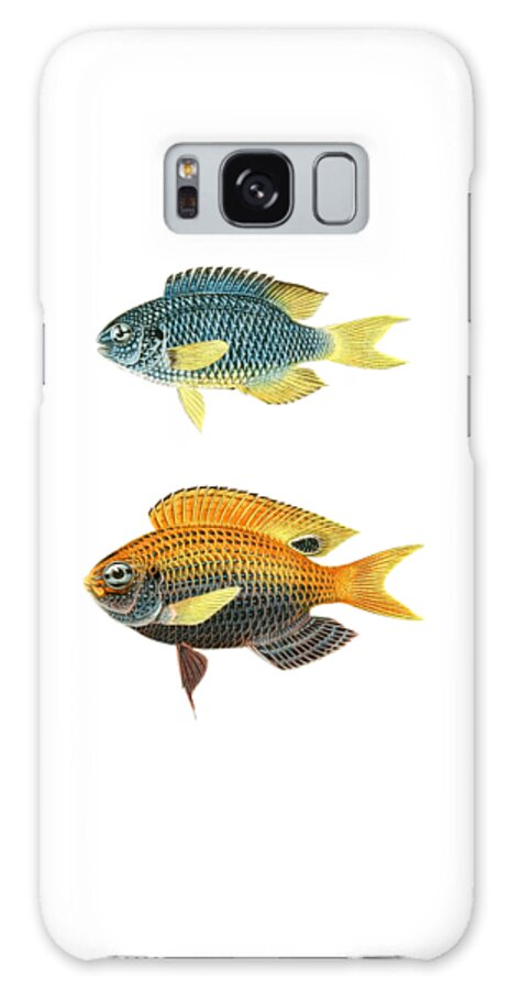 Fish Galaxy Case featuring the digital art Yellow and blue fish by Madame Memento