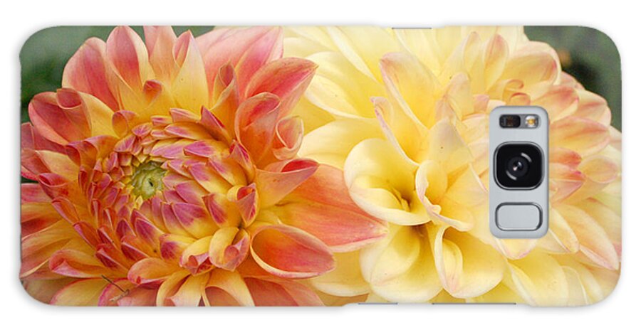 Dahlia Galaxy Case featuring the photograph Yellow and Orange Dahlias 1 by Amy Fose