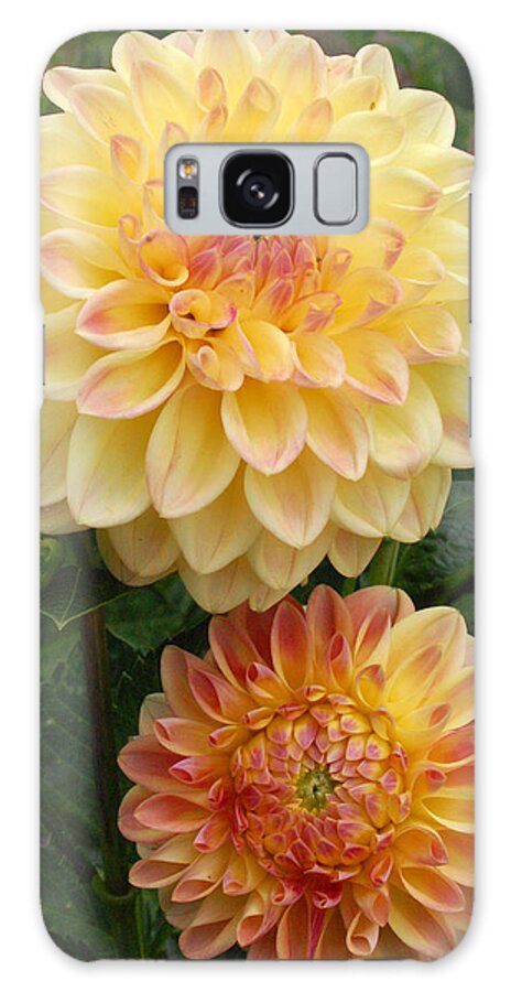 Dahlia Galaxy Case featuring the photograph Yellow and Orange Dahlias 2 by Amy Fose