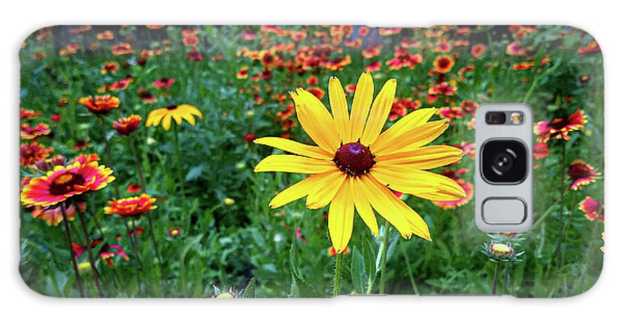 Yellow Flower Field Green Red Galaxy Case featuring the photograph Yellow Flower in Field by David Morehead
