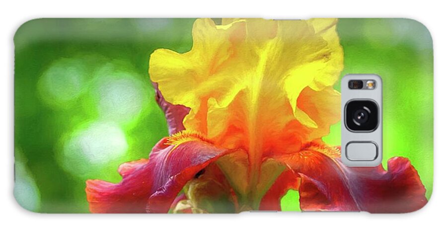 Iris Galaxy Case featuring the photograph Yellow Iris by Susan Rydberg