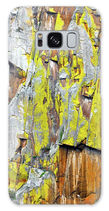 Lichen Galaxy Case featuring the mixed media Yellow lichen on a rock face by Lorena Cassady