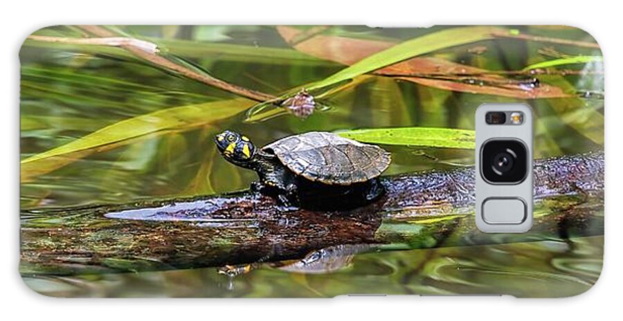 Amazon Galaxy Case featuring the photograph Yellow-spotted Amazon River Turtle by Henri Leduc