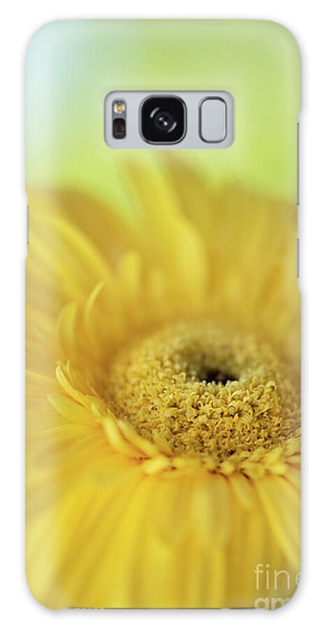 Bloom Galaxy Case featuring the photograph Yellow Spring Life by Nancy Gleason