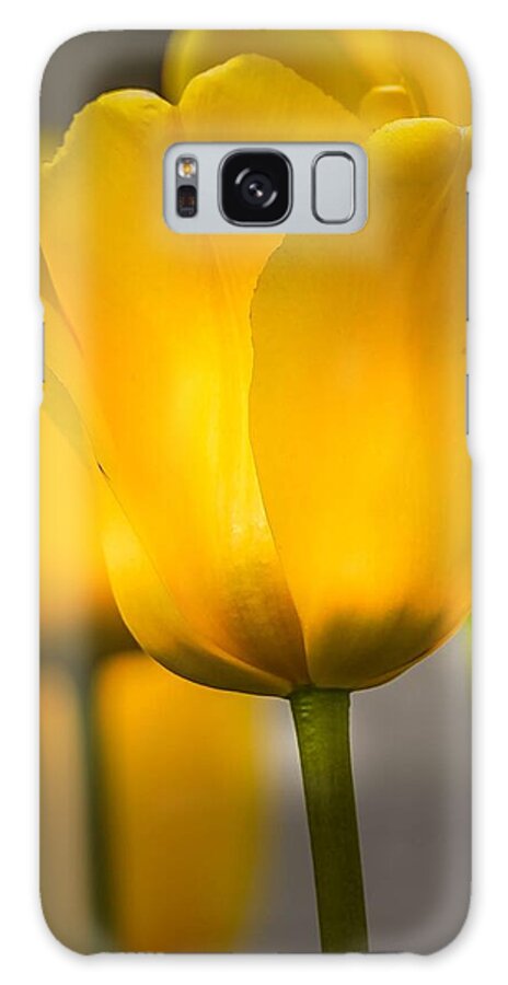 Tulips Galaxy Case featuring the photograph Yellow Tulips by Susan Rydberg