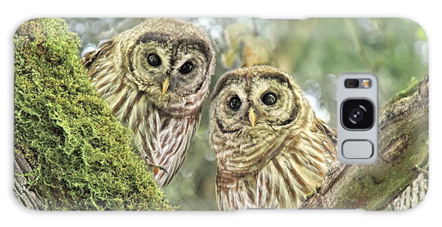 Owl Galaxy Case featuring the photograph Young Barred Owlets by Jennie Marie Schell