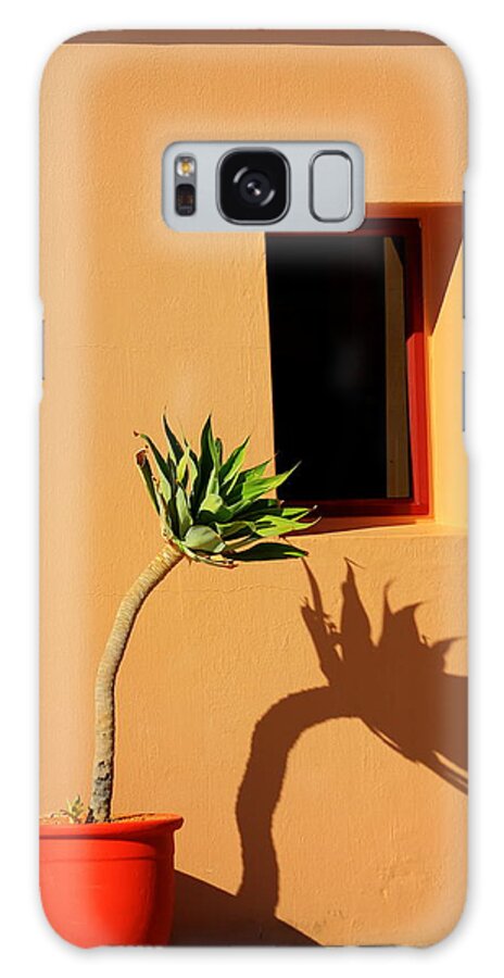 Yucca Galaxy Case featuring the photograph Yucca by Gene Taylor