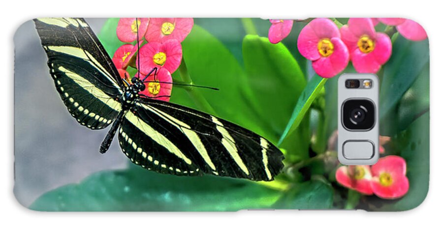 Zebra Longwing Butterfly Galaxy Case featuring the photograph Zebra Longwing Butterfly by Cathy Anderson