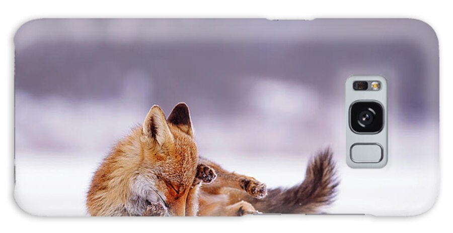 Red Fox Galaxy Case featuring the photograph Zen Fox Series - Comfortably Fox by Roeselien Raimond