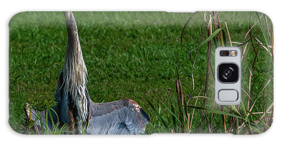 Animals Galaxy Case featuring the photograph Zen Heron by Brian Shoemaker