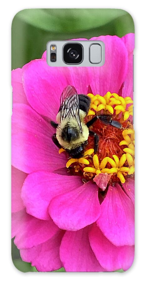 Flower Galaxy Case featuring the pyrography Zinnia and the bee by Greg Joens