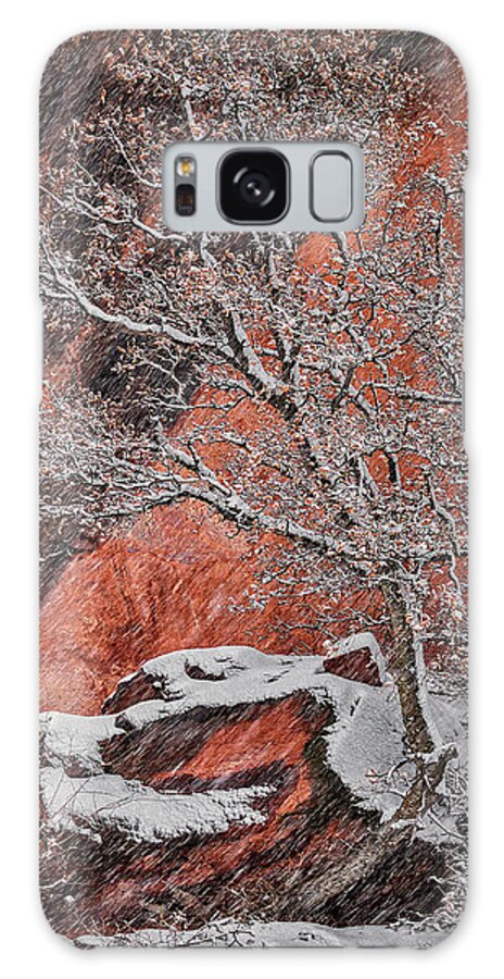 Utah Galaxy Case featuring the photograph Zion Winter 1 by Robert Fawcett