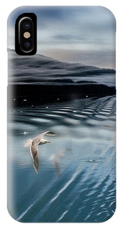 Alaska iPhone X Case featuring the photograph Journey with a Sea Gull by Gary Warnimont