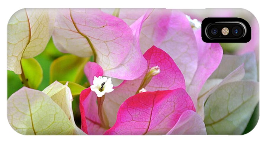 Hawaii iPhone X Case featuring the photograph Pink Bougainvillea ...with a friend by Lehua Pekelo-Stearns