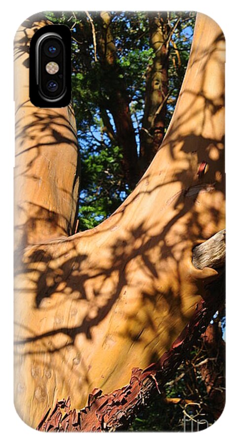  iPhone X Case featuring the photograph Arbutus Tree #1 by Sharron Cuthbertson