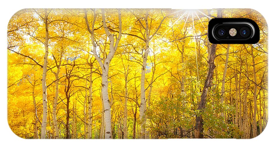 Aspens iPhone X Case featuring the photograph Aspen Morning #1 by Darren White
