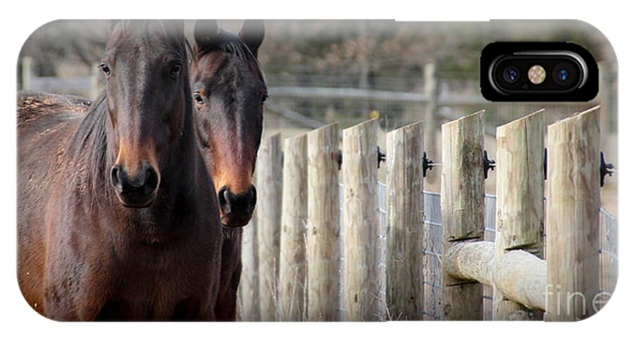 Horses iPhone X Case featuring the photograph Best Friends #1 by Rabiah Seminole