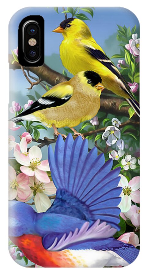 Bluebird iPhone X Case featuring the mixed media Bluebird and Goldfinch #1 by Anthony Seeker