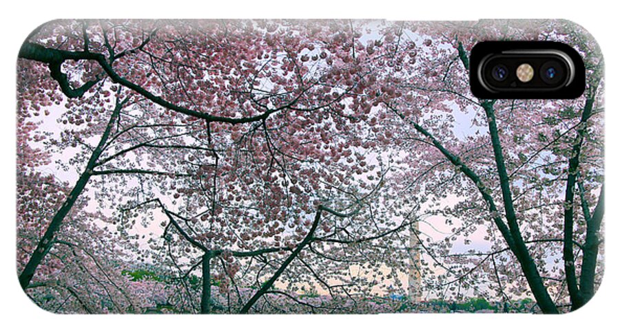 Cherry Blossom Trees iPhone X Case featuring the photograph Cherry Blossom Trees by Mitch Cat