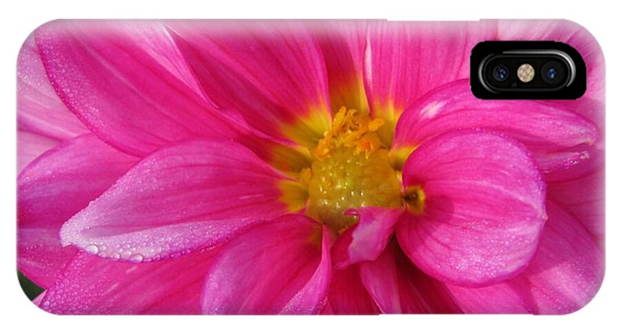 Dahlia iPhone X Case featuring the photograph Dahlia named Who Dun It #1 by J McCombie