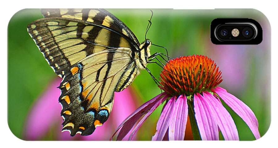 Butterfly iPhone X Case featuring the photograph Eastern Tiger Swallowtail #1 by Rodney Campbell
