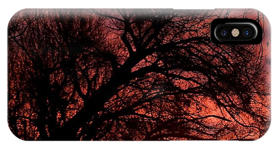 Sunset iPhone X Case featuring the photograph Fall Fire #1 by Roseann Errigo