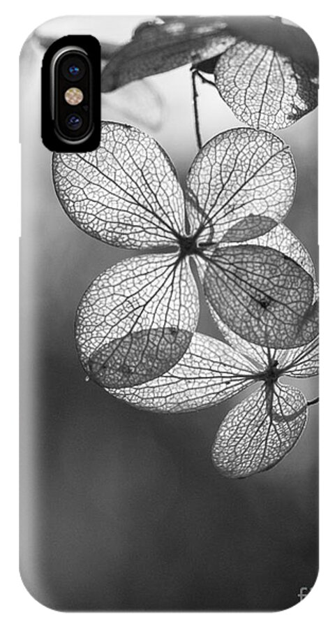 Arboretum iPhone X Case featuring the photograph Fall Leaves by Steven Ralser
