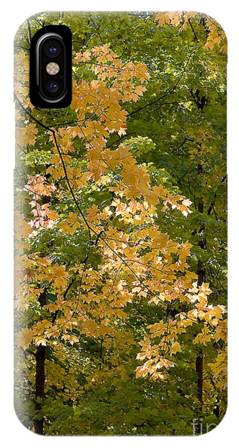 Autumn iPhone X Case featuring the photograph Fall Maples #1 by Steven Ralser