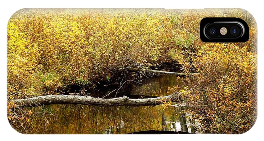 Golden iPhone X Case featuring the photograph Golden Creek #1 by Sharon Woerner