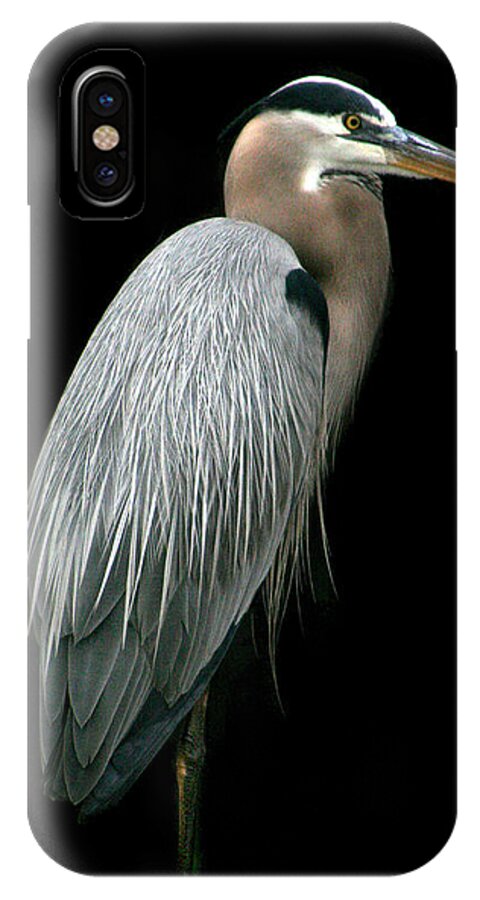 Heron iPhone X Case featuring the photograph Great Blue Heron by Mariarosa Rockefeller