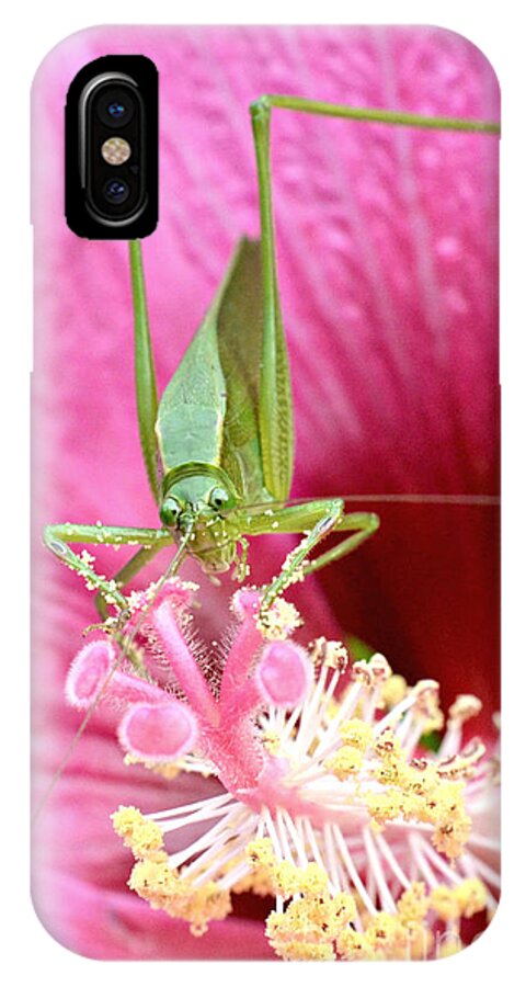  Hibiscus Photographs iPhone X Case featuring the photograph Hibiscus and Friend #1 by Lila Fisher-Wenzel