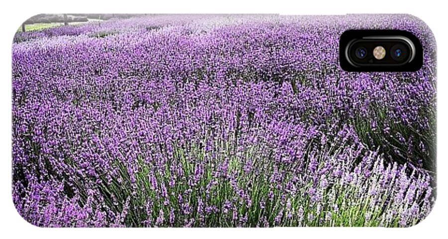 Lavender iPhone X Case featuring the photograph Lavender Farm Landscape #1 by Christy Beckwith