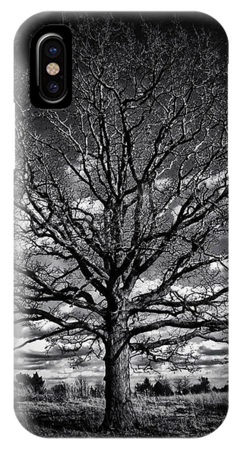 Tree iPhone X Case featuring the photograph Marion Oaks by September Stone