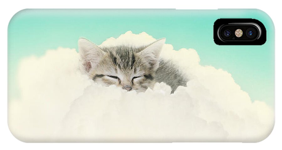 Kitten iPhone X Case featuring the photograph On Cloud Nine #1 by Amy Tyler