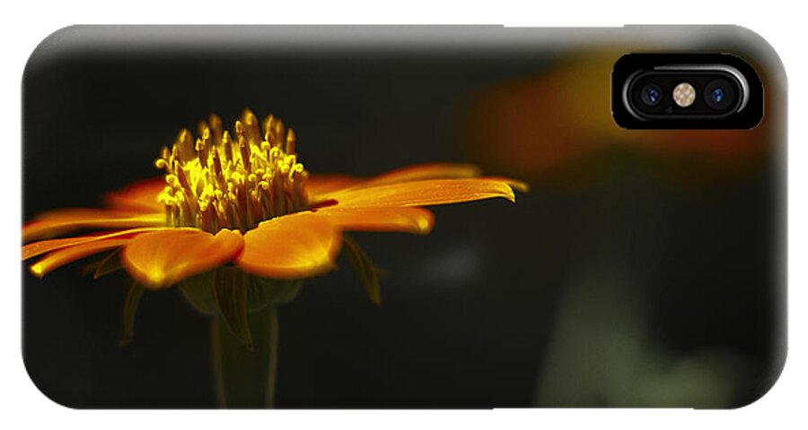Flower iPhone X Case featuring the photograph Orange Flower #1 by Bradley R Youngberg