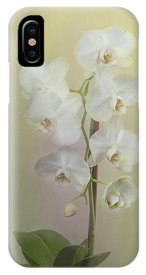 Phalaenopsis iPhone X Case featuring the photograph Phalaenopsis #1 by Carol Erikson