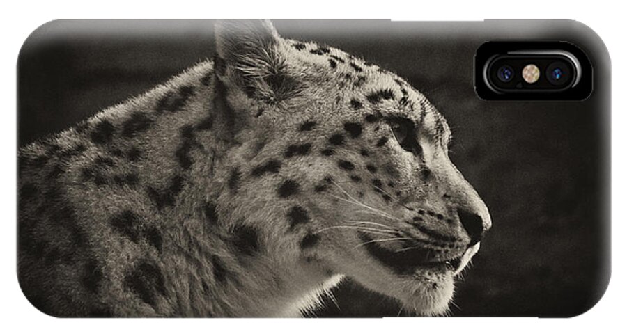 Marwell iPhone X Case featuring the photograph Profile of a Snow Leopard #1 by Chris Boulton