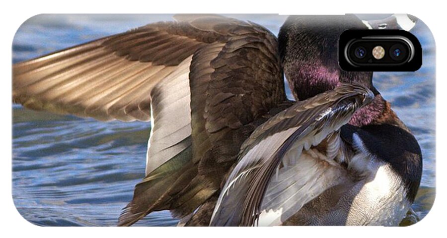 Mallard iPhone X Case featuring the photograph Ring Neck Duck #1 by Kevin Pugh