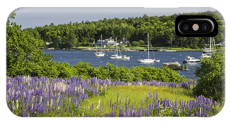 Maine iPhone X Case featuring the photograph Round Pond Lupine Flowers on The Coast Of Maine #1 by Keith Webber Jr