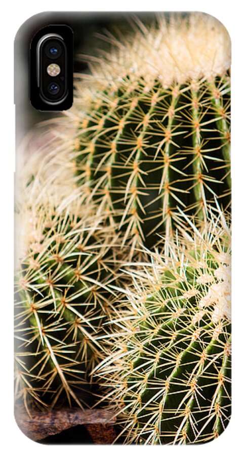 Botanical iPhone X Case featuring the photograph Triple Cactus #2 by John Wadleigh