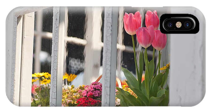 Tulip iPhone X Case featuring the photograph Tulips of greenhouse #2 by Aiolos Greek Collections