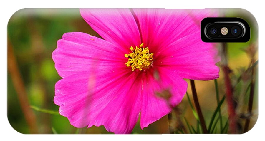 Wild Flower iPhone X Case featuring the photograph Wild Flower #1 by Eric Switzer