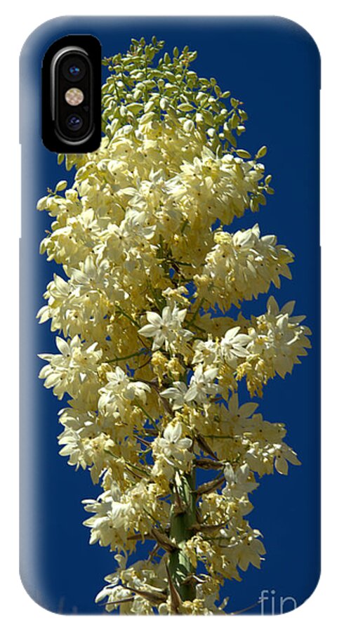 Yucca iPhone X Case featuring the photograph Yucca in Bloom #1 by Jane Axman