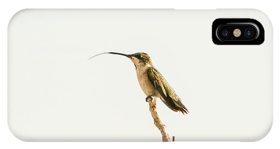 Hummingbirds iPhone X Case featuring the photograph Hummingbirds #15 by Victor Culpepper